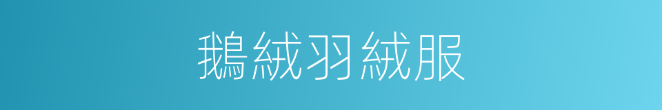 鵝絨羽絨服的同義詞