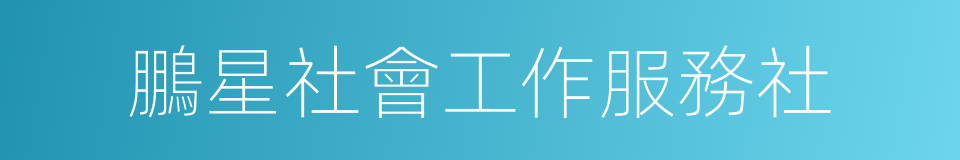 鵬星社會工作服務社的同義詞