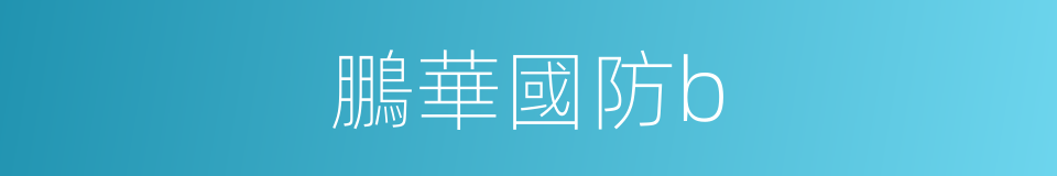 鵬華國防b的同義詞