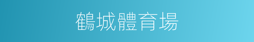 鶴城體育場的同義詞