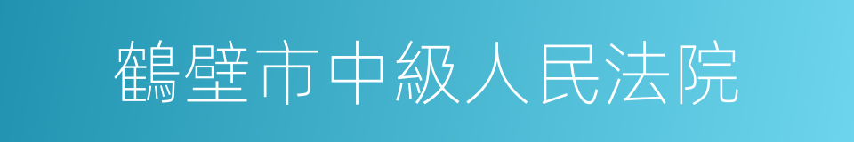 鶴壁市中級人民法院的同義詞