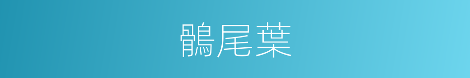 鶻尾葉的意思