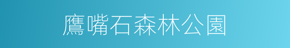 鷹嘴石森林公園的同義詞