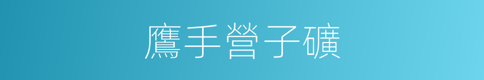 鷹手營子礦的同義詞