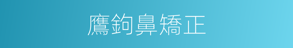 鷹鉤鼻矯正的同義詞