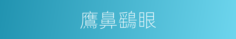 鷹鼻鷂眼的意思
