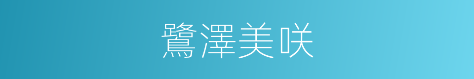 鷺澤美咲的同義詞