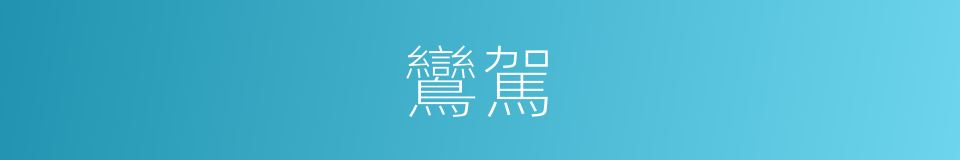 鸞駕的意思