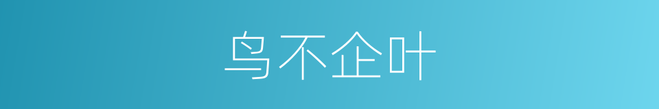 鸟不企叶的同义词