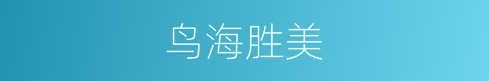 鸟海胜美的同义词