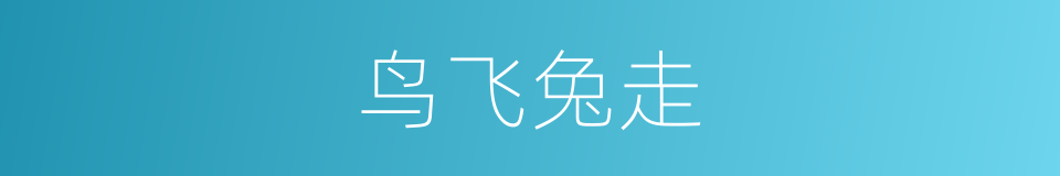 鸟飞兔走的意思