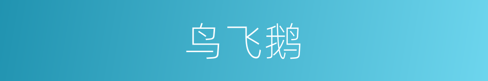 鸟飞鹅的同义词