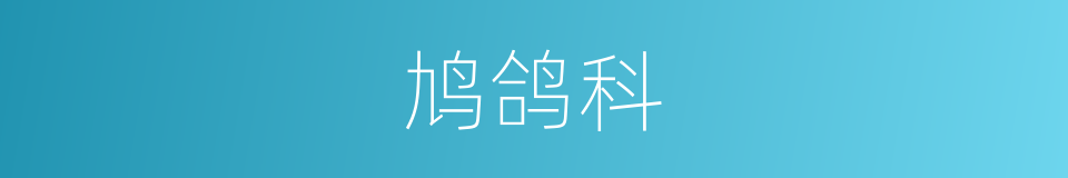 鸠鸽科的同义词