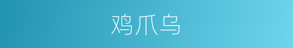 鸡爪乌的同义词