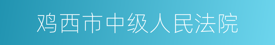 鸡西市中级人民法院的同义词