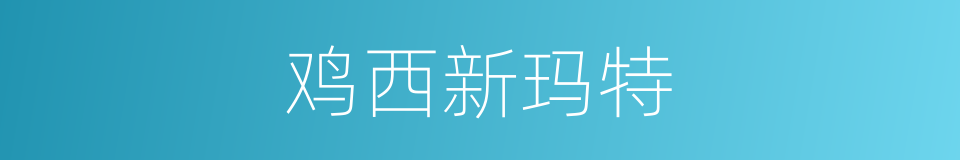 鸡西新玛特的同义词