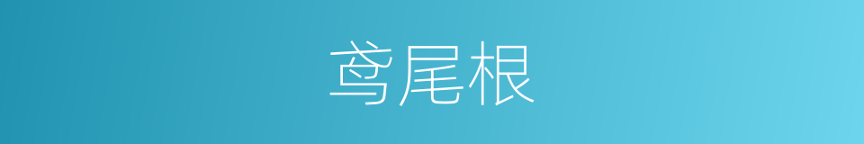 鸢尾根的同义词