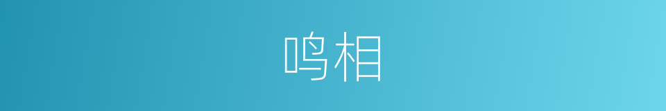 鸣相的同义词