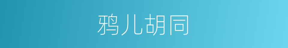 鸦儿胡同的意思