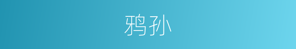 鸦孙的意思