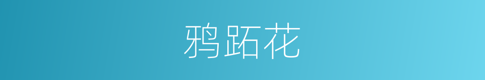 鸦跖花的同义词