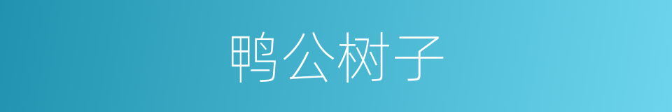 鸭公树子的同义词