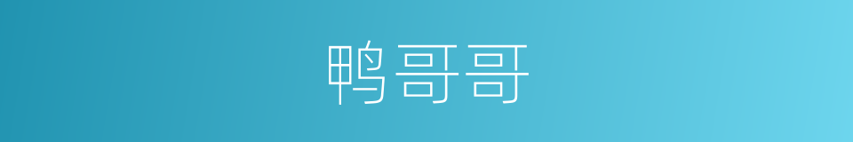 鸭哥哥的同义词