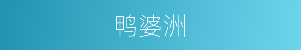 鸭婆洲的同义词