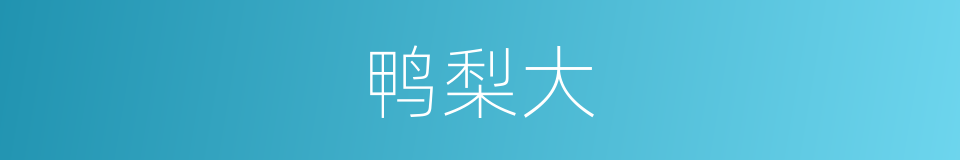 鸭梨大的同义词