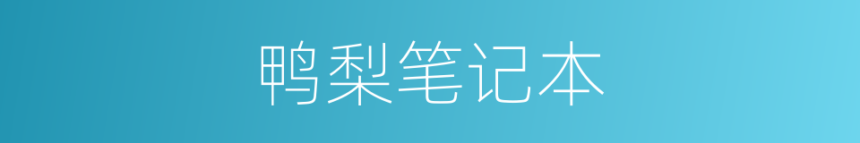 鸭梨笔记本的同义词