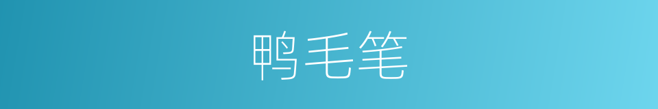 鸭毛笔的同义词
