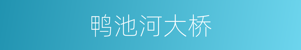 鸭池河大桥的同义词