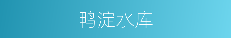 鸭淀水库的同义词