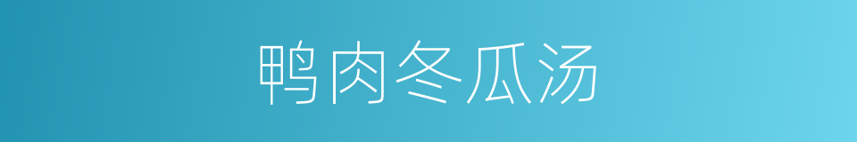 鸭肉冬瓜汤的同义词