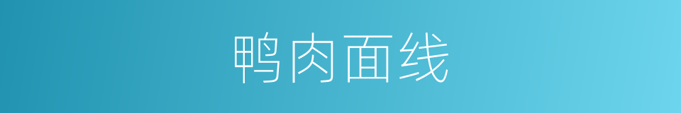 鸭肉面线的同义词