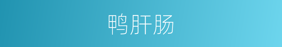鸭肝肠的同义词