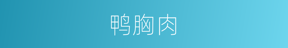 鸭胸肉的同义词