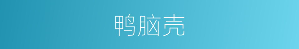 鸭脑壳的同义词