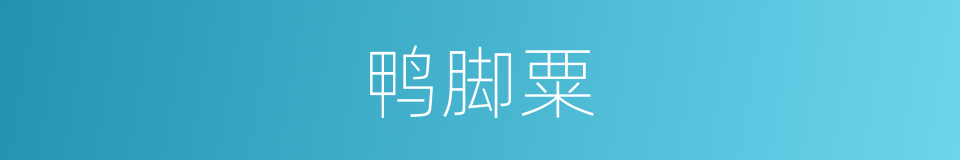 鸭脚粟的同义词