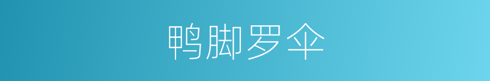 鸭脚罗伞的同义词