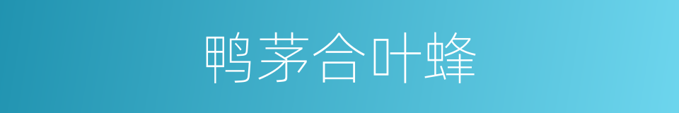 鸭茅合叶蜂的同义词
