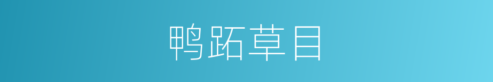 鸭跖草目的同义词