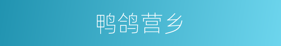 鸭鸽营乡的同义词