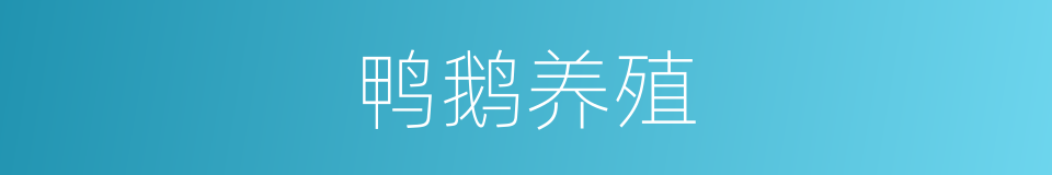 鸭鹅养殖的同义词