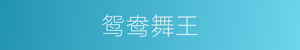 鸳鸯舞王的同义词