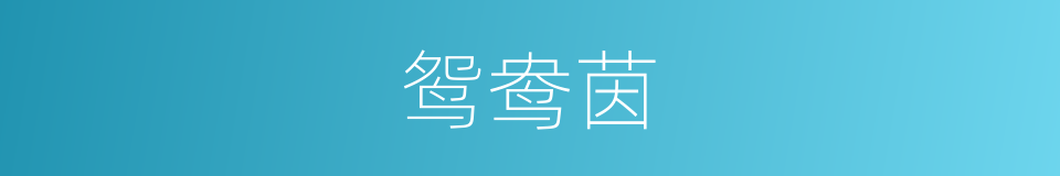 鸳鸯茵的意思