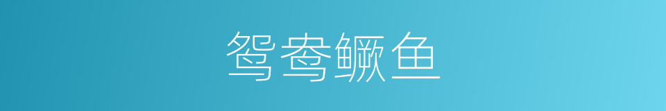 鸳鸯鳜鱼的同义词