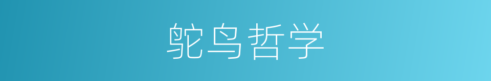 鸵鸟哲学的同义词