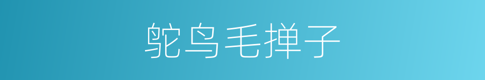 鸵鸟毛掸子的同义词