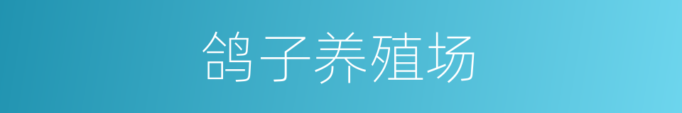 鸽子养殖场的同义词